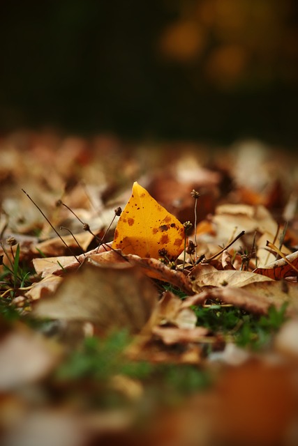 开拓者不仅 开拓者不仅