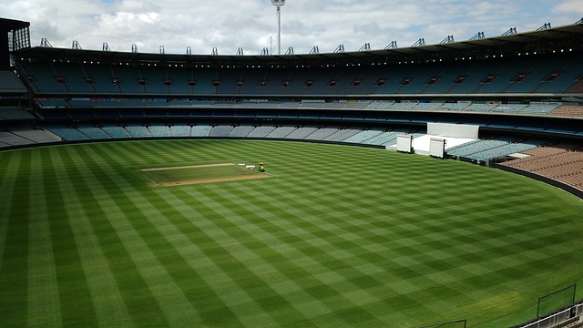 竞技水平的 竞技水平的