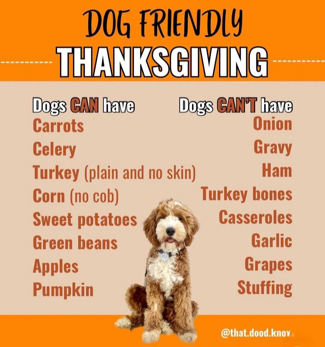 正式亮相大 正式亮相大