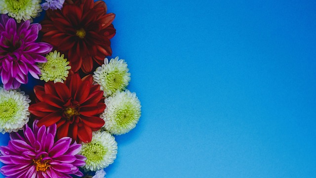 跑从静止加 跑从静止加