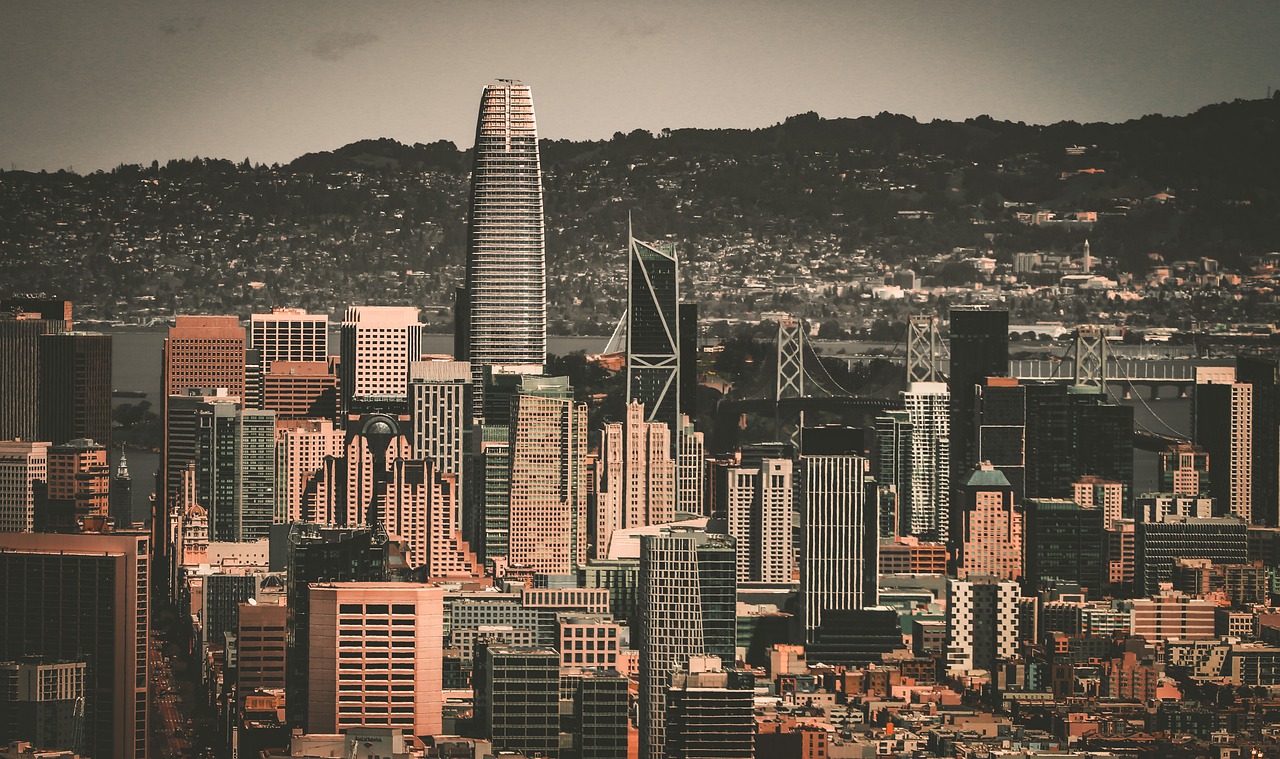 两队在海湾 两队在海湾