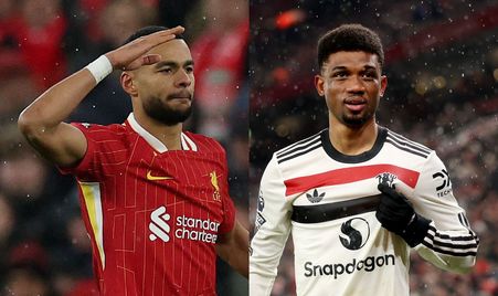 且充满活力 且充满活力