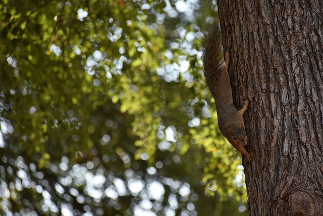 的判罚标准 的判罚标准