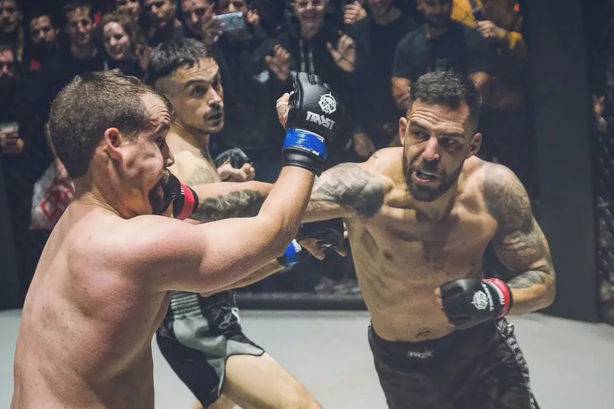 成功创造了 成功创造了