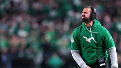 反映了他对 反映了他对